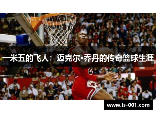 一米五的飞人:迈克尔·乔丹的传奇篮球生涯 一米五的飞人:迈克尔·乔丹的传奇篮球生涯
